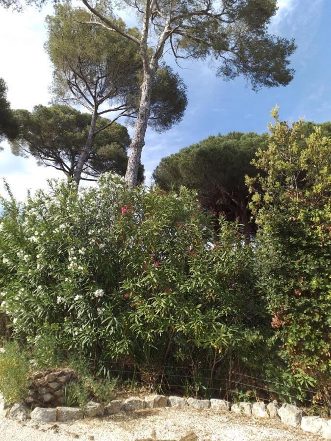 Villa Mediterranea Les Issambres Kültér fotó