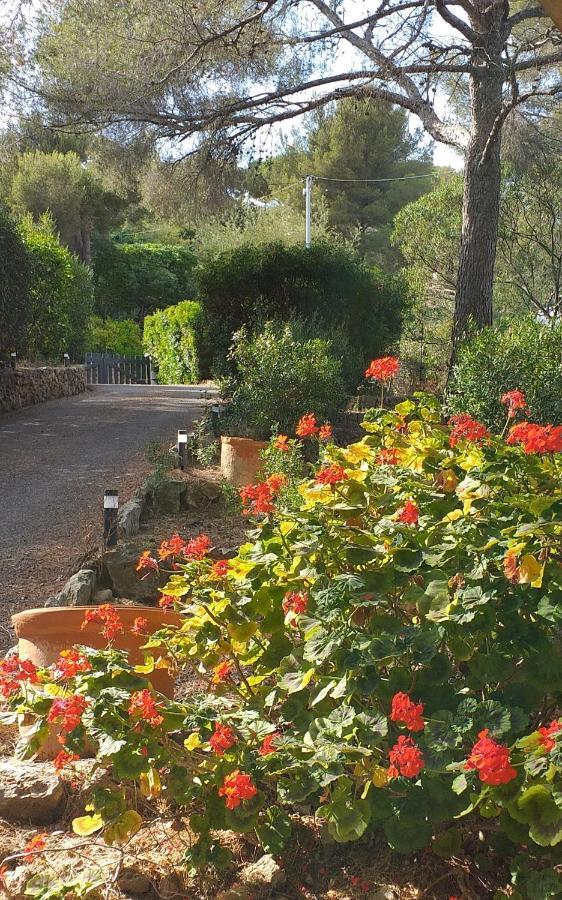 Villa Mediterranea Les Issambres Kültér fotó