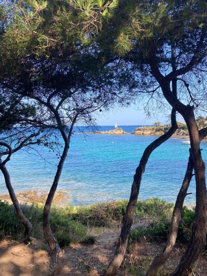 Villa Mediterranea Les Issambres Kültér fotó